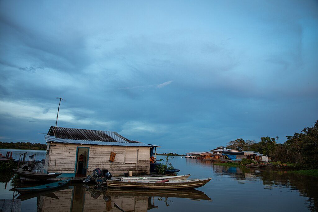 Primeira evidência de microplásticos no estômago de macacos arborícolas acende alerta na Amazônia Foto: Daniel Marques