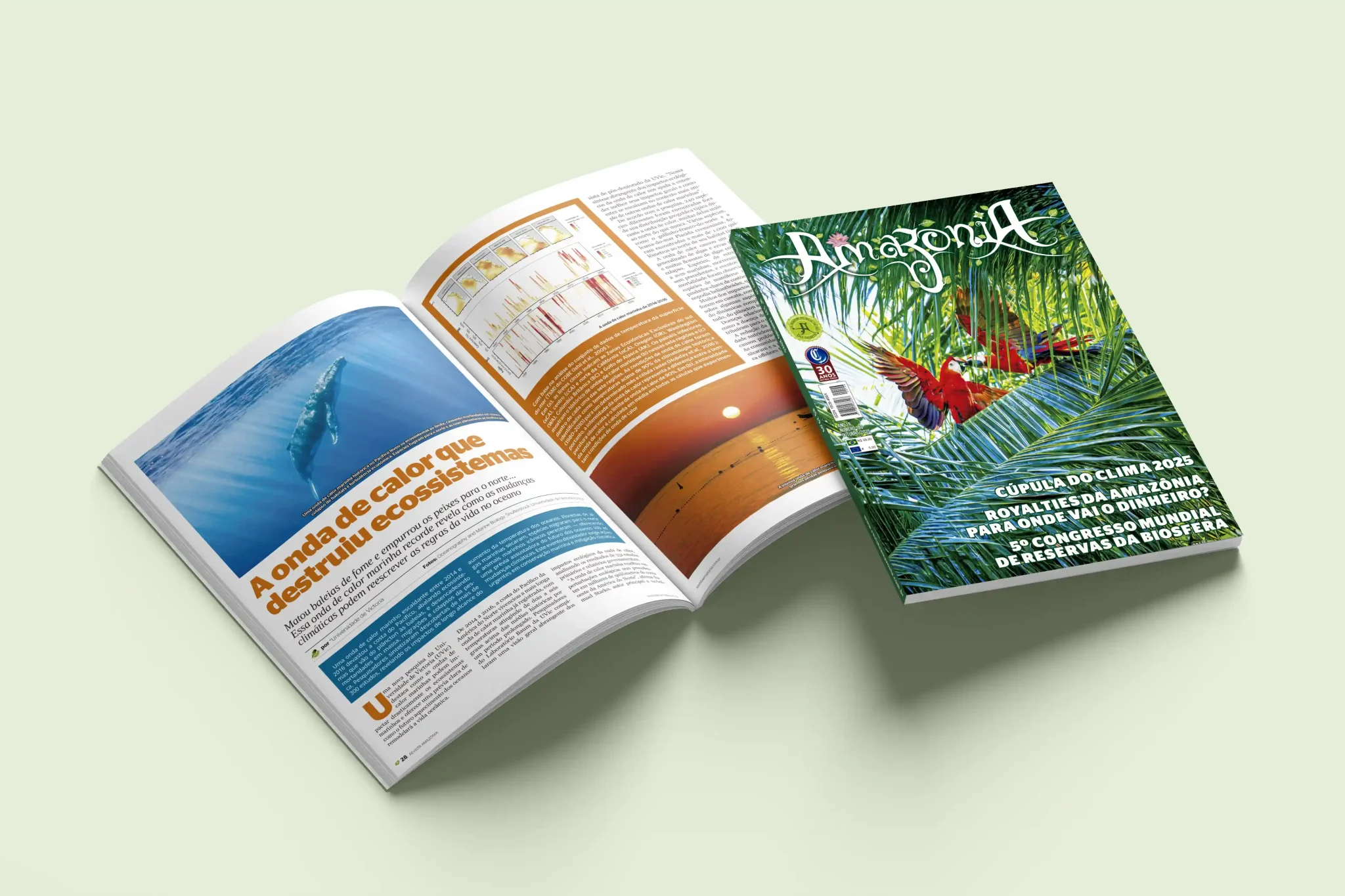 Revista Amazônia 146 - Edição outubro de 2025