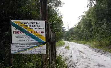 alta_terra-20roxa_jv Fazendas ilegais de gado ameaçam territórios indígenas e assentamentos no Pará