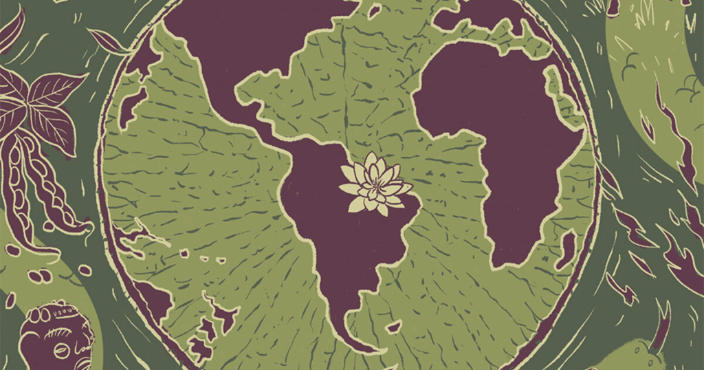 “Atlas da Amazônia Brasileira” dá voz aos amazônidas e saberes locais Foto: Divulgação Fundação Heinrich Böll