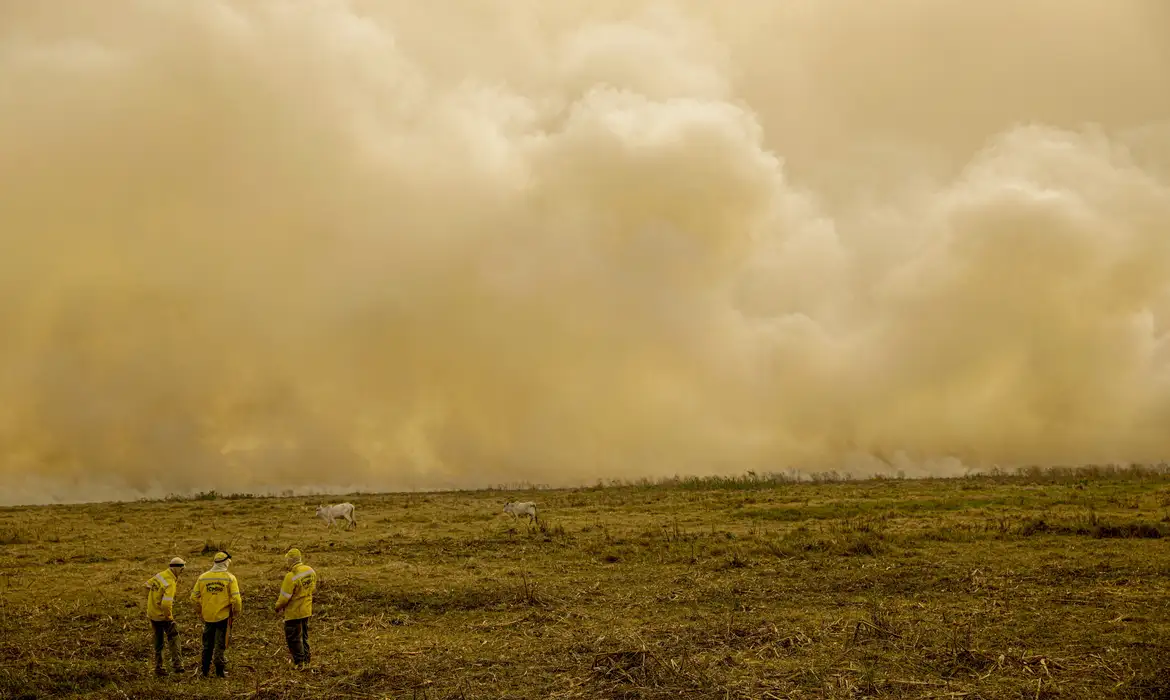 Calor extremo já mata meio milhão de pessoas por ano, alerta global Joédson Alves/Agência Brasil