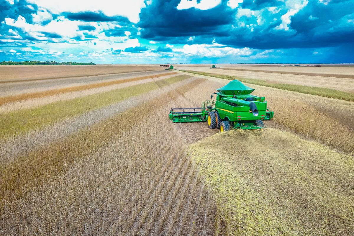 Fim da moratória da soja reacende alerta sobre desmatamento e ameaça a povos indígenas Reprodução