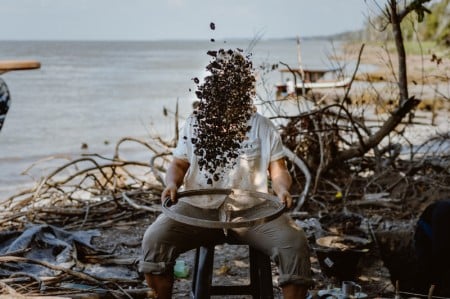 Peneirando o passado: ao se degradar com a ação do tempo, as conchas que constituem os sambaquis liberam carbonato de cálcio (calcita), que permite a conservação de restos orgânicos de animais e plantas presentes no sítio arqueológico (foto: Bárbara Valle)