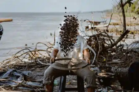 Peneirando o passado: ao se degradar com a ação do tempo, as conchas que constituem os sambaquis liberam carbonato de cálcio (calcita), que permite a conservação de restos orgânicos de animais e plantas presentes no sítio arqueológico (foto: Bárbara Valle)