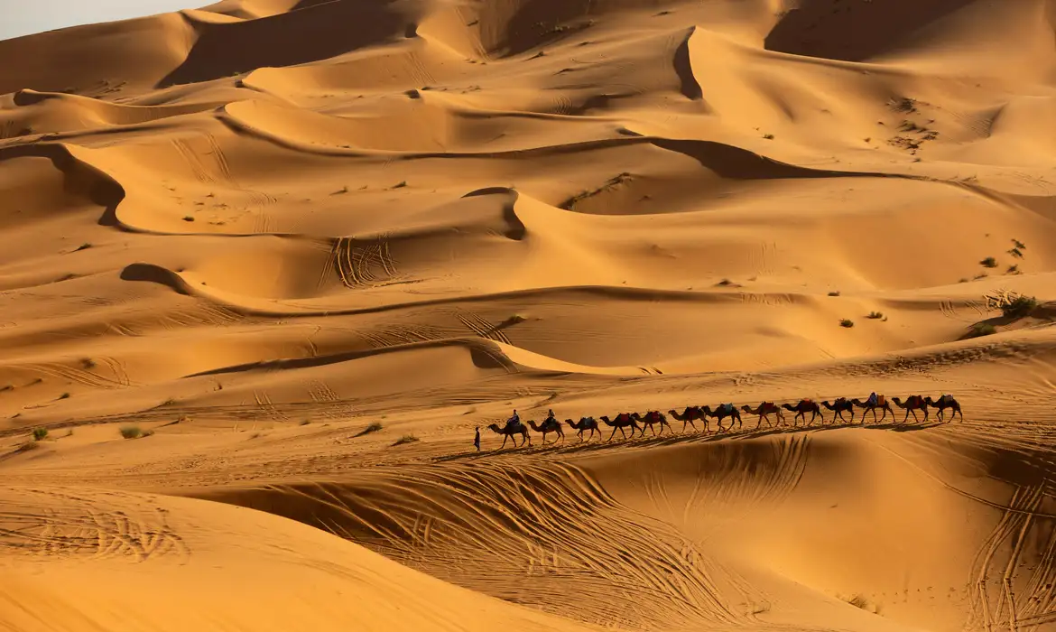 Deserto do Saara pode ficar até 75% mais úmido até o fim do século, aponta estudo Reuters/Darrin Zammit Lupi/Proibida reprodução