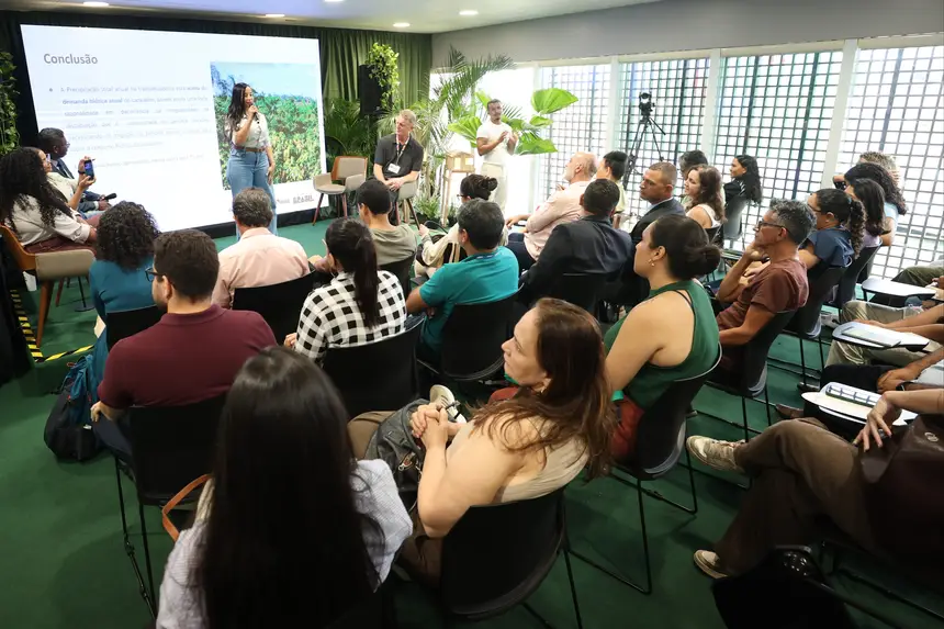 Irrigação em SAFs do Xingu vira referência na COP30 Foto: Rodrigo Pinheiro / Ag.Pará