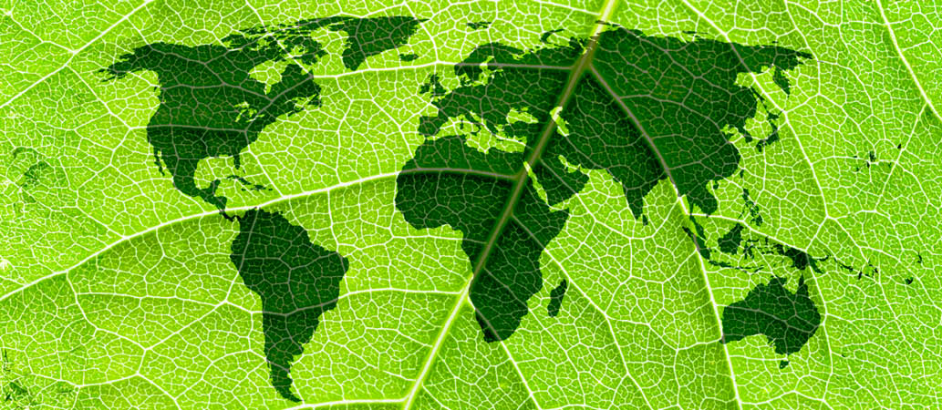 A nova economia verde 