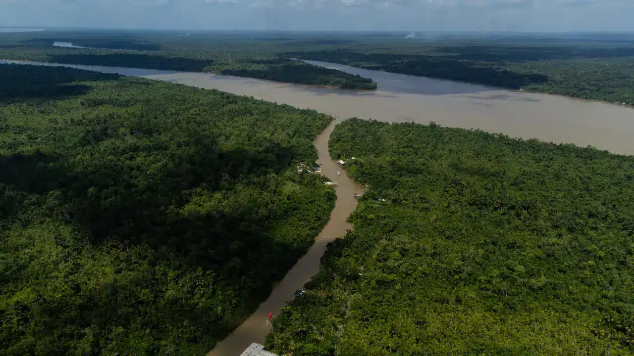 Tributação justa pode destravar a nova economia da Amazônia Fundo Amazônia e TFFF: entenda as diferenças e objetivos