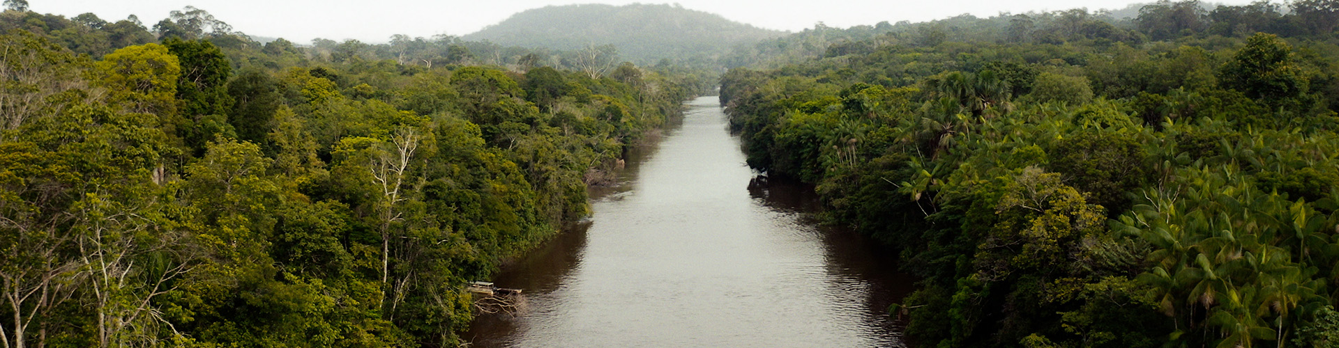 Natura apresenta na COP30 sua visão de regeneração e soluções para o futuro da Amazônia - TED Countdown House 1 HEADER DESK