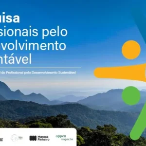 Profissionais do futuro: pesquisa revela quem move a sustentabilidade no Brasil Divulgação