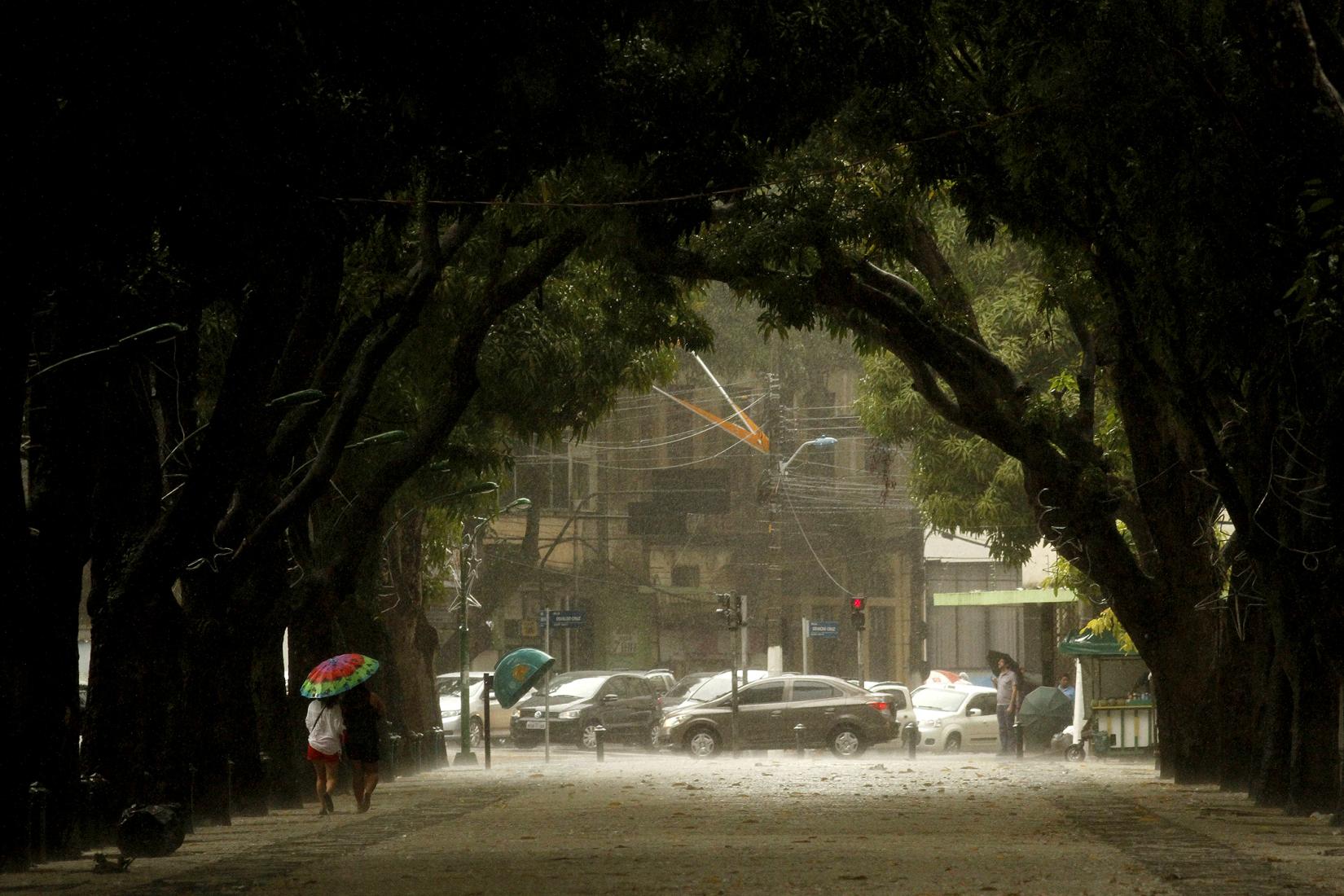Pacote de Belém 1 Praça da República e seus corredores de mangueiras em Belém. Foto finalista da edição de 2024 do concurso internacional de fotografia sobre Transformação Urbana, organizado pela Universidade das Nações Unidas (UNU). Foto: © UNU/Raimundo Paccó