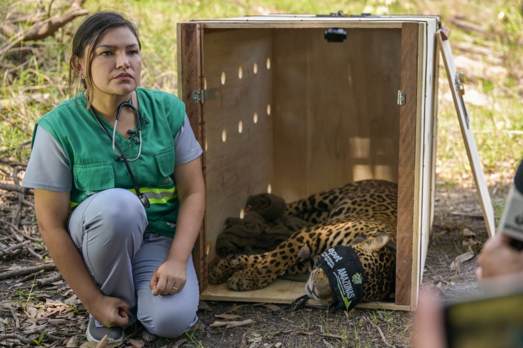 Foto: Joedi Porto e Antonio Humberto/Sepet.