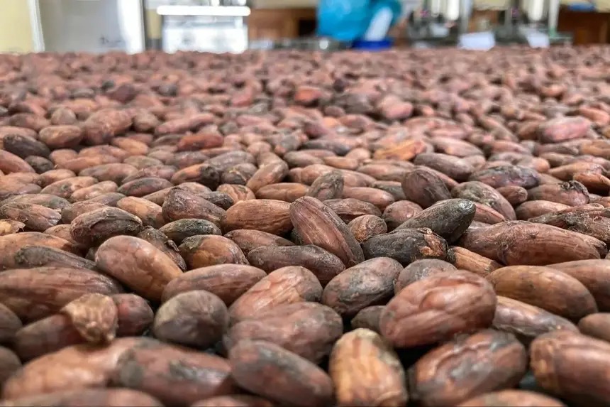 Belém inaugura o Parque de Bioeconomia e reposiciona o Pará no mapa da economia verde Divulgação