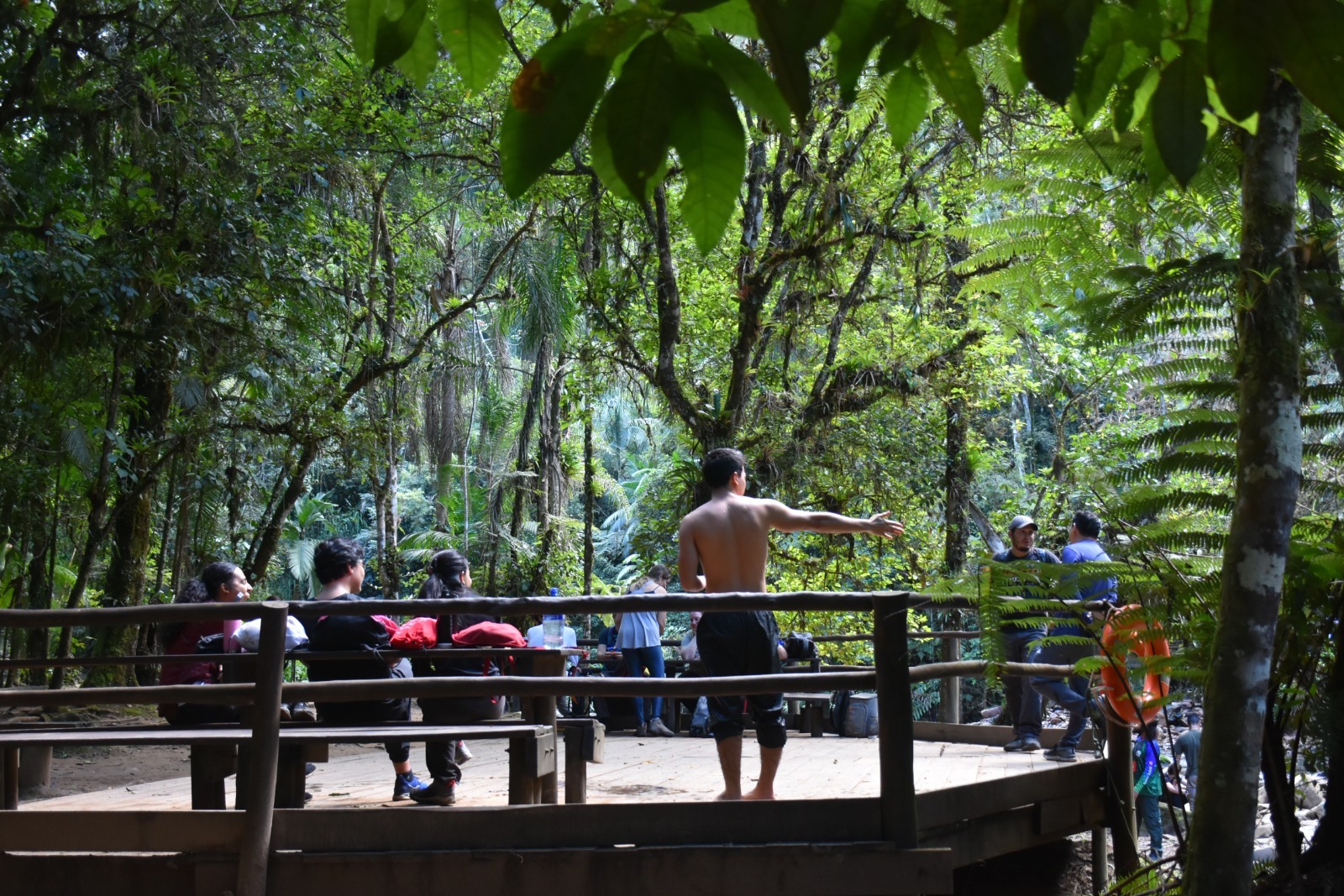 Casa da Mata Atlântica leva mensagem de urgência à COP30 em Belém Divulgação