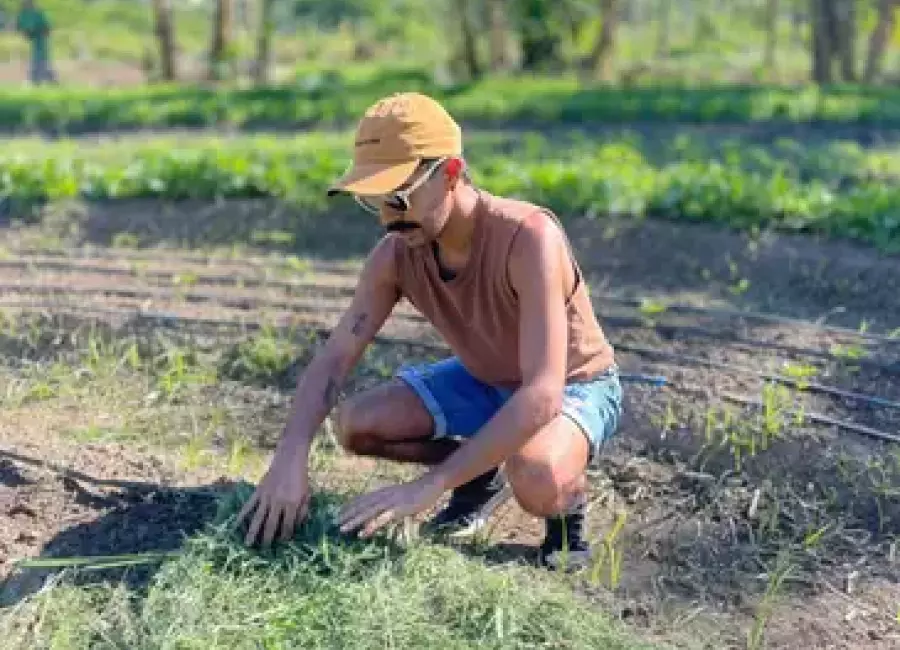 Wyliam-Torres-e-adepto-da-plantacao-de-verduras-e-leguminosas-no-proprio-quintal-de-casa Floresta em pé: lavoura e árvores reduzem impacto de mudança climática