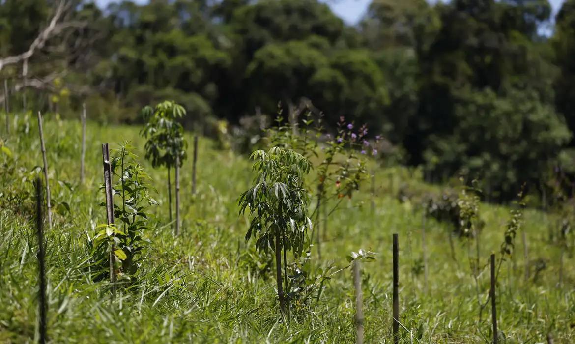 Fernando Frazão/Agência Brasil