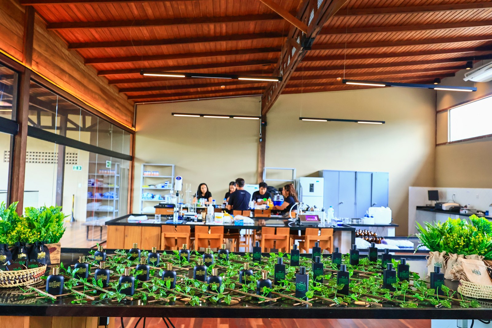 Amazônia avança rumo ao mercado global com novas startups Divulgação/Sebrae