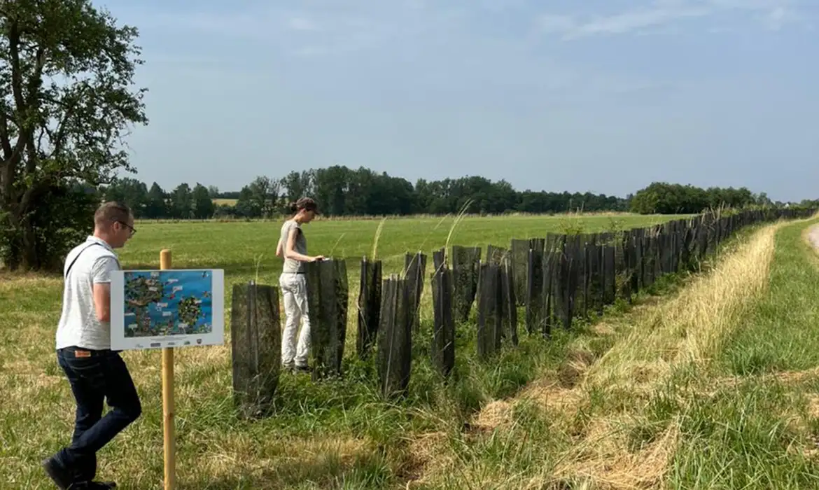 preservação ambiental