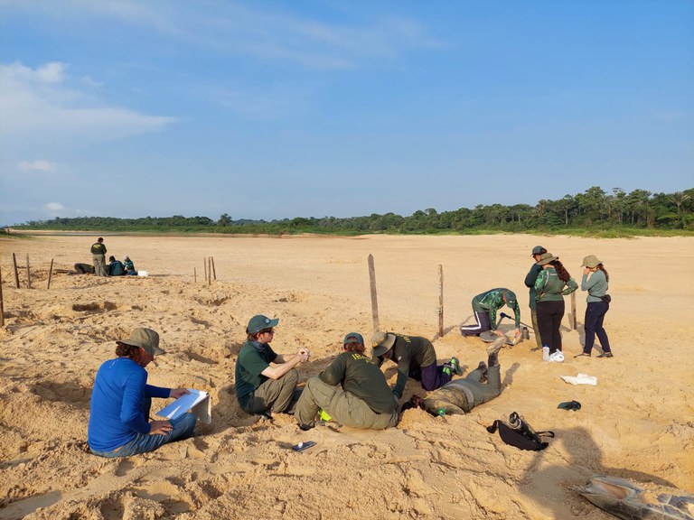 Capacitação reúne nove estados e fortalece manejo de quelônios Divulgação