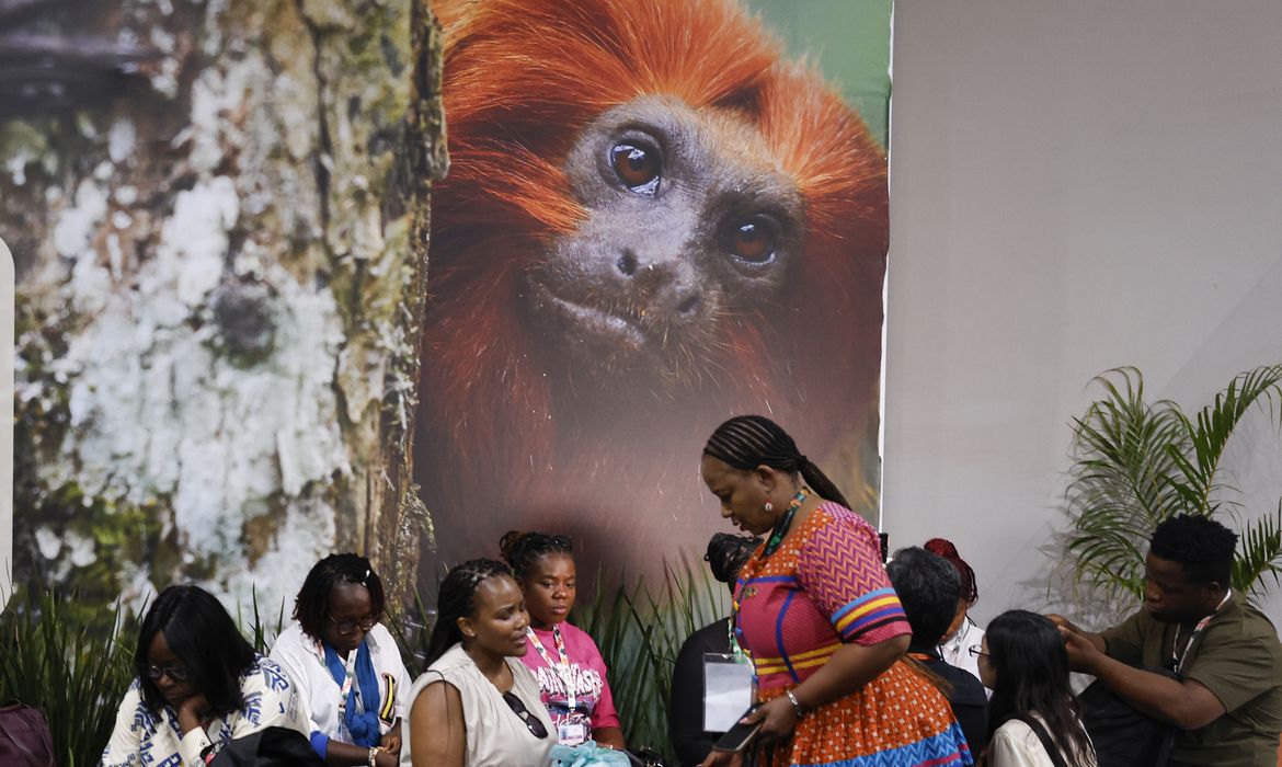 Tânia Rêgo/Agência Brasil