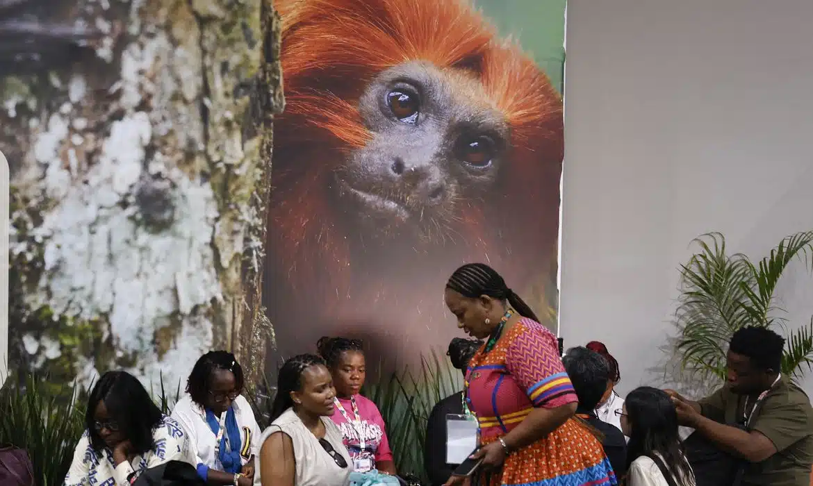 Tânia Rêgo/Agência Brasil
