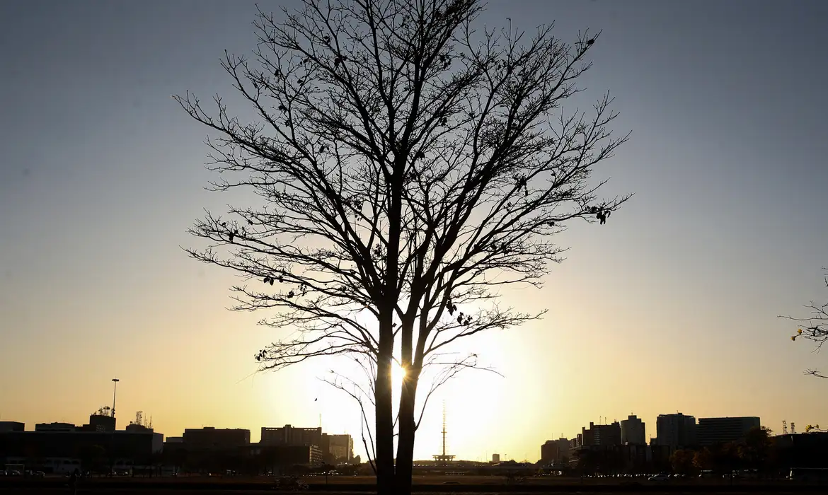 Valter Campanato/Agência Brasil