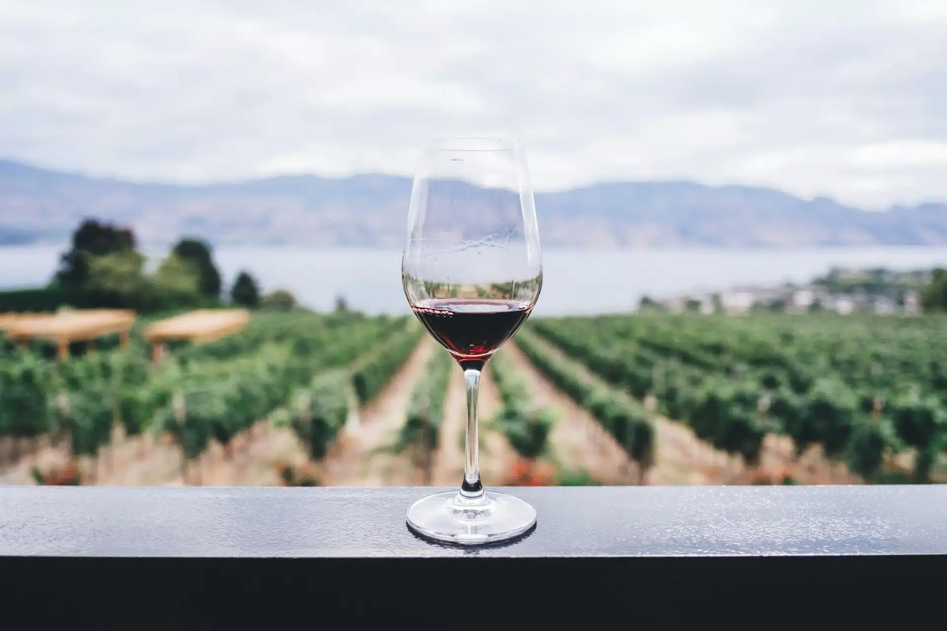 Como as mudanças climáticas estão desmontando a arte do vinho Como as mudanças climáticas estão desmontando a arte do vinho