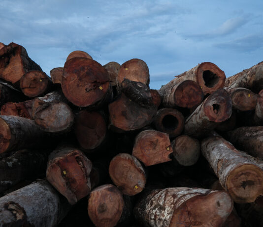 Sede da empresa Mil Madeira em Itacoatiara, Amazonas, Brasil. Novembro de 2021. - IMAFLORA
