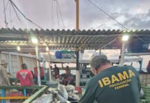 Foto: divulgação/Ibama