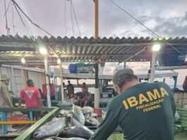 Foto: divulgação/Ibama