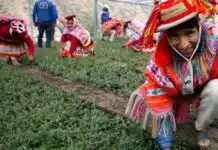 Foto: Diego Rotmistrovsky/UNEP