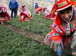 Foto: Diego Rotmistrovsky/UNEP