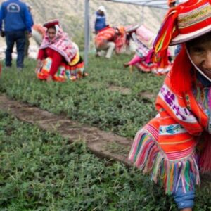 Foto: Diego Rotmistrovsky/UNEP