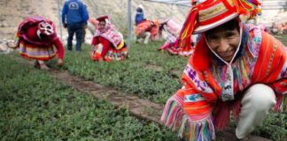 Foto: Diego Rotmistrovsky/UNEP