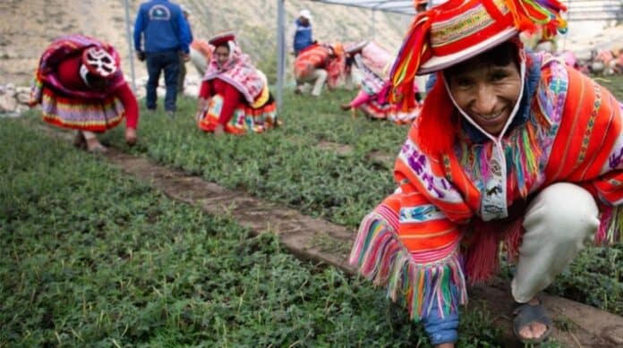 Foto: Diego Rotmistrovsky/UNEP