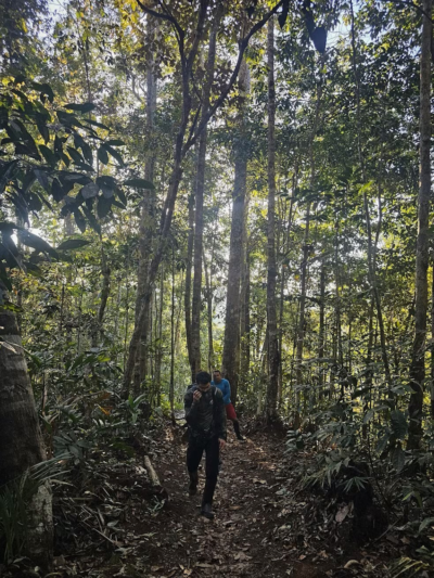 20250712-070317-1-400x533 Nova ave descoberta na Serra do Divisor alerta para conservação