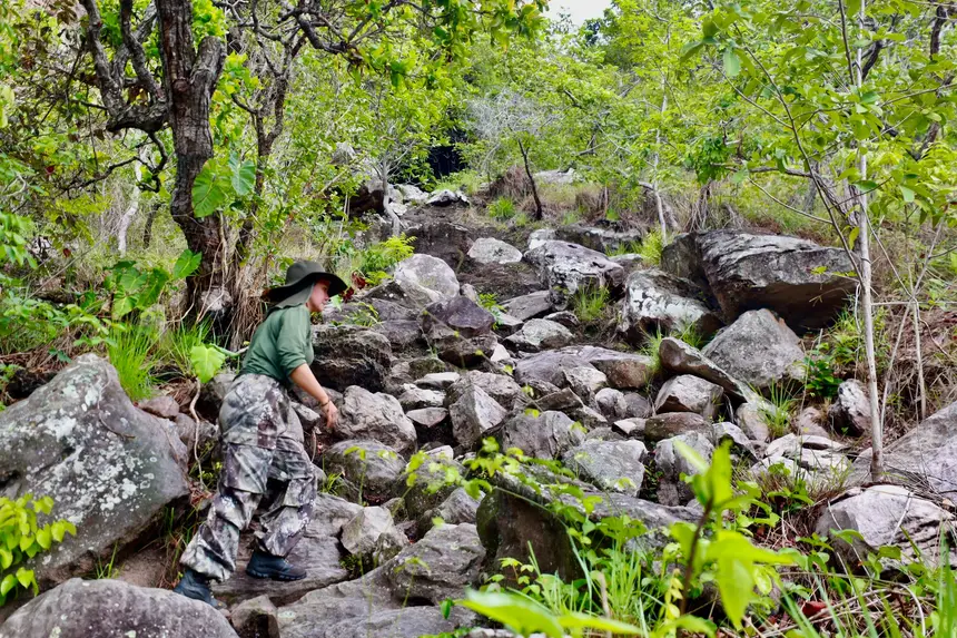 Pará adota Cotas de Proteção Ambiental e une agronegócio à conservação Foto: Bruno Cruz / Ag. Pará