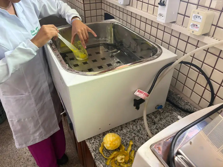 Bioplástico de milho e laranja: a inovação sustentável da Ueap O bioplástico feito a partir do albedo da laranja apresentou mais biodegradabilidade