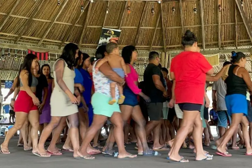 Tembé devem acessar R$ 1,8 milhão para fortalecer manejo de açaí na várzea Divulgação - Ag. Pará