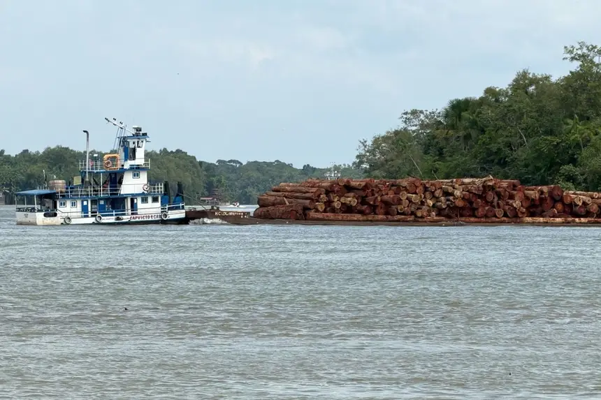 Base Candiru apreende grande volume de madeira irregular no oeste do Pará Foto: Divulgação