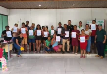 Da roça ao prato: quando a merenda escolar nasce dentro do território quilombola Divulgação - Ag. Pará