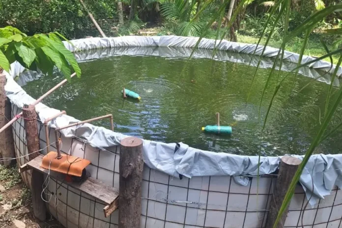 20251219095855-GC00073503-F00281859E Agência Pará