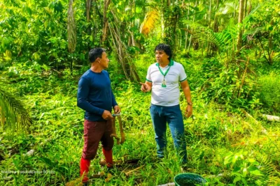 20251230115025-GC00073683-F00282908-400x267 Crédito rural chega à periferia de Belém e fortalece extrativismo urbano