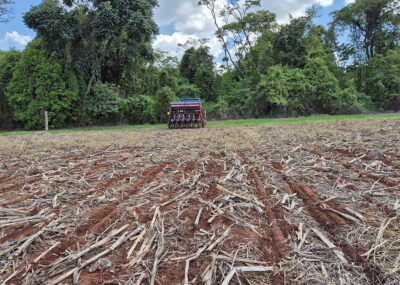 251223_ProtocolosBaixoCarbono_Gisele_Rosso_plantio-direto-400x285 Protocolos da Embrapa redesenham a pecuária leiteira de baixo carbono