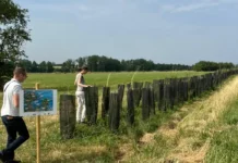 Foto: Yago Fagundes/Divulgação