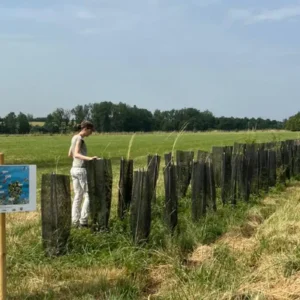 Floresta em pé surge como aliada no combate às mudanças do clima Foto: Yago Fagundes/Divulgação