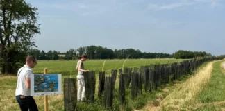 Foto: Yago Fagundes/Divulgação