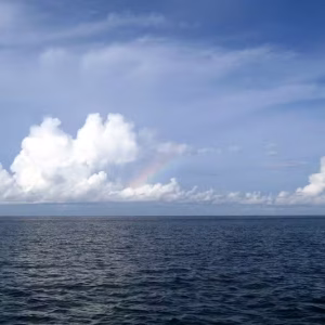 FAPESP e ANII abrem chamada para impulsionar pesquisa internacional sobre o oceano Foto: Mary Witzig/CC