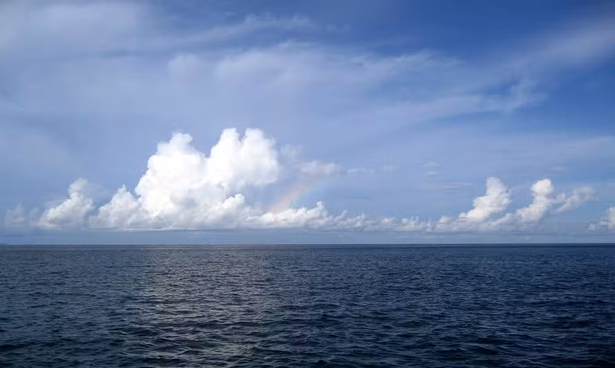 FAPESP e ANII abrem chamada para impulsionar pesquisa internacional sobre o oceano Foto: Mary Witzig/CC