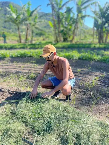 7_-_william_1 Floresta em pé surge como aliada no combate às mudanças do clima